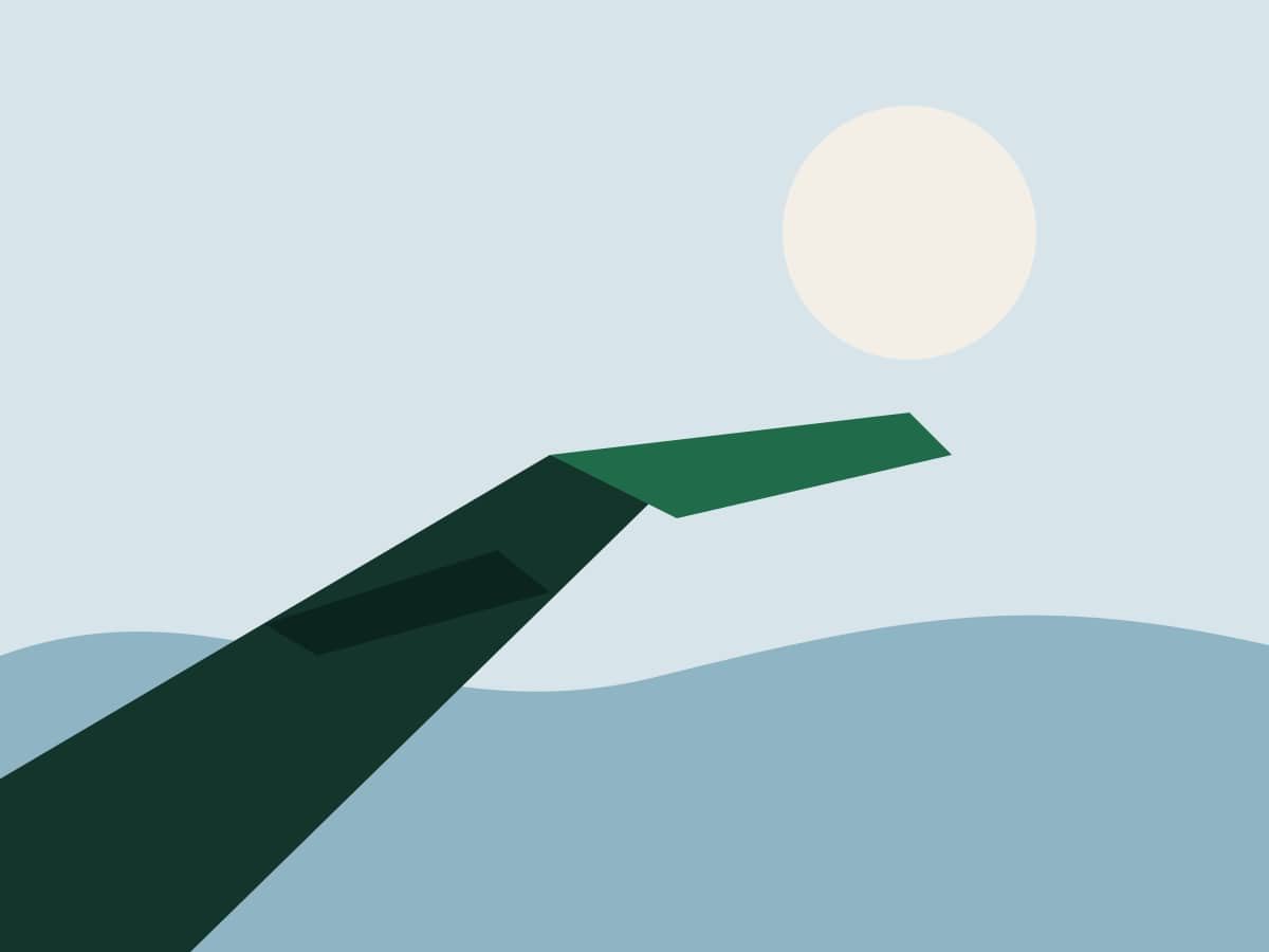 Ilustração de céu amplo e uma asa em primeiro plano.